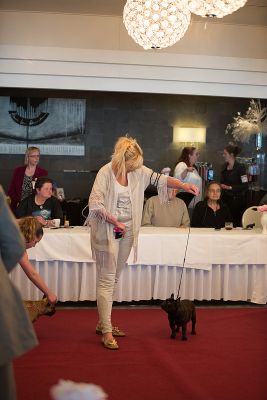 Klik op de foto om originele grootte te bekijken