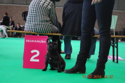 Klik op de foto om originele grootte te bekijken