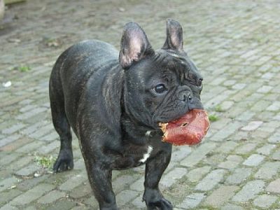 Klik op de foto om originele grootte te bekijken