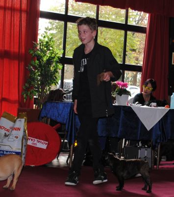 Klik op de foto om originele grootte te bekijken