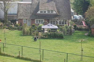 Klik op de foto om originele grootte te bekijken