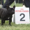 Bestandsnaam : -145057650328AF0820.png
Bestandsgrootte : 33KB
Afmetingen : 112x112
Datum toegevoegd : 20 jan 2012 -145057650328AF0820.png