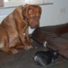 Bestandsnaam : 180617179664920DEA.png
Bestandsgrootte : 34KB
Afmetingen : 112x112
Datum toegevoegd : 20 jan 2012 180617179664920DEA.png