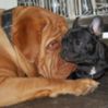 Bestandsnaam : 85952501521FBFE9D.png
Bestandsgrootte : 38KB
Afmetingen : 112x112
Datum toegevoegd : 20 jan 2012 85952501521FBFE9D.png