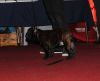Bestandsnaam : DSC_0046.JPG
Bestandsgrootte : 507KB
Afmetingen : 2025x1647
Datum toegevoegd : 17 nov 2014 DSC_0046.JPG