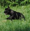Bestandsnaam : DSC_0227.jpg
Bestandsgrootte : 364KB
Afmetingen : 1093x1109
Datum toegevoegd : 05 jul 2015 DSC_0227.jpg