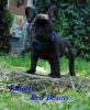 New_haeven_15_070.jpg