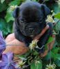 New_heaven_10_222.jpg