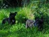 New_heaven_13__gras_045.jpg
