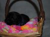 New_heaven_6_031.jpg