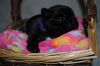 New_heaven_6_033.jpg