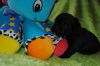 New_heaven_8_022.jpg