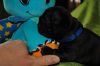 New_heaven_8_030.jpg