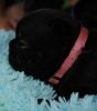 New_heaven_8_045.jpg