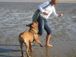 Filename=zee_9.jpg
Filesize=26KB
Dimensions=480x360
Date added=Nov 01, 2007 zee_9.jpg
