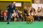 Filename=17495557_10212472281741535_2115219907_n.jpg
Filesize=99KB
Dimensions=960x640
Date added=Mar 23, 2017 17495557_10212472281741535_2115219907_n.jpg