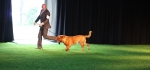 Filename=9387.jpg
Filesize=104KB
Dimensions=1404x663
Date added=Jun 22, 2014 9387.jpg