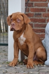 Filename=Diego.jpg
Filesize=240KB
Dimensions=400x600
Date added=Feb 19, 2012 Diego.jpg