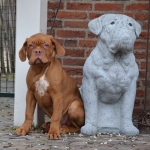 Filename=Diego1~0.jpg
Filesize=358KB
Dimensions=600x600
Date added=Feb 19, 2012 Diego1~0.jpg