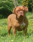 Filename=New_020.jpg
Filesize=34KB
Dimensions=372x480
Date added=May 14, 2012 New_020.jpg