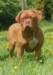 Filename=New_028.jpg
Filesize=30KB
Dimensions=342x480
Date added=May 14, 2012 New_028.jpg