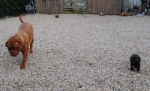 Filename=New_1_035.jpg
Filesize=49KB
Dimensions=640x389
Date added=Sep 07, 2012 New_1_035.jpg