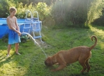 Filename=New_ace__water_004.jpg
Filesize=39KB
Dimensions=640x470
Date added=Jul 09, 2013 New_ace__water_004.jpg