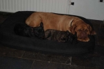 Filename=New_alles_004.jpg
Filesize=18KB
Dimensions=640x428
Date added=Aug 04, 2013 New_alles_004.jpg