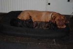 Filename=New_alles_005.jpg
Filesize=19KB
Dimensions=640x428
Date added=Aug 04, 2013 New_alles_005.jpg