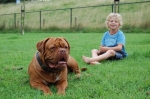 Filename=New_diezel_2_077.jpg
Filesize=57KB
Dimensions=640x426
Date added=Jul 31, 2009 New_diezel_2_077.jpg