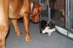 Filename=New_heaven_2_022.jpg
Filesize=61KB
Dimensions=640x426
Date added=Mar 05, 2009 New_heaven_2_022.jpg