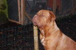 New_leuke_foto,s_buiten_003.jpg