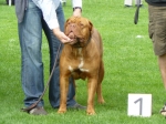 Filename=New_lockeren_113.jpg
Filesize=291KB
Dimensions=640x480
Date added=Jul 20, 2009 New_lockeren_113.jpg