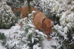 Filename=New_mandy_sneeuw_072.jpg
Filesize=43KB
Dimensions=640x426
Date added=Dec 17, 2009 New_mandy_sneeuw_072.jpg
