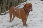 Filename=New_mandy_sneeuw_132.jpg
Filesize=27KB
Dimensions=640x426
Date added=Dec 17, 2009 New_mandy_sneeuw_132.jpg