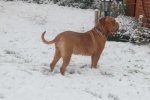 Filename=New_mandy_sneeuw_146.jpg
Filesize=24KB
Dimensions=640x428
Date added=Dec 17, 2009 New_mandy_sneeuw_146.jpg