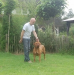 Filename=New_pups,_emi_10_dg_104.jpg
Filesize=83KB
Dimensions=755x768
Date added=Aug 24, 2011 New_pups,_emi_10_dg_104.jpg