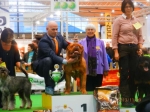 Filename=New_show_026.jpg
Filesize=43KB
Dimensions=640x480
Date added=Nov 13, 2013 New_show_026.jpg
