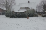 Filename=New_snow_2012_066.jpg
Filesize=30KB
Dimensions=600x399
Date added=Feb 03, 2012 New_snow_2012_066.jpg