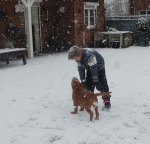 Filename=New_snow_2012_123.jpg
Filesize=26KB
Dimensions=468x450
Date added=Feb 03, 2012 New_snow_2012_123.jpg