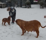 Filename=New_snow_2012_127.jpg
Filesize=27KB
Dimensions=523x450
Date added=Feb 03, 2012 New_snow_2012_127.jpg