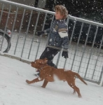 Filename=New_snow_2012_150.jpg
Filesize=24KB
Dimensions=441x450
Date added=Feb 03, 2012 New_snow_2012_150.jpg