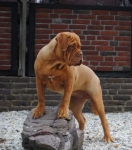 New_wandelen_057.jpg