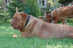 Filename=New_zenna_095.jpg
Filesize=83KB
Dimensions=640x426
Date added=Jun 14, 2009 New_zenna_095.jpg