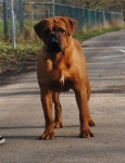 buiten_23-02-2014_124.JPG