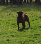 buiten_23-02-2014_138.JPG