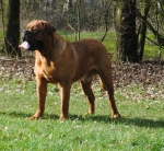 buiten_23-02-2014_152.JPG