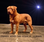 Filename=kenzo__7.png
Filesize=673KB
Dimensions=800x769
Date added=Mar 23, 2017 kenzo__7.png