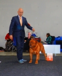 Filename=show_012.JPG
Filesize=1598KB
Dimensions=1677x2048
Date added=Nov 12, 2013 show_012.JPG
