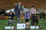 Filename=show_031.jpg
Filesize=142KB
Dimensions=679x452
Date added=Nov 12, 2013 show_031.jpg